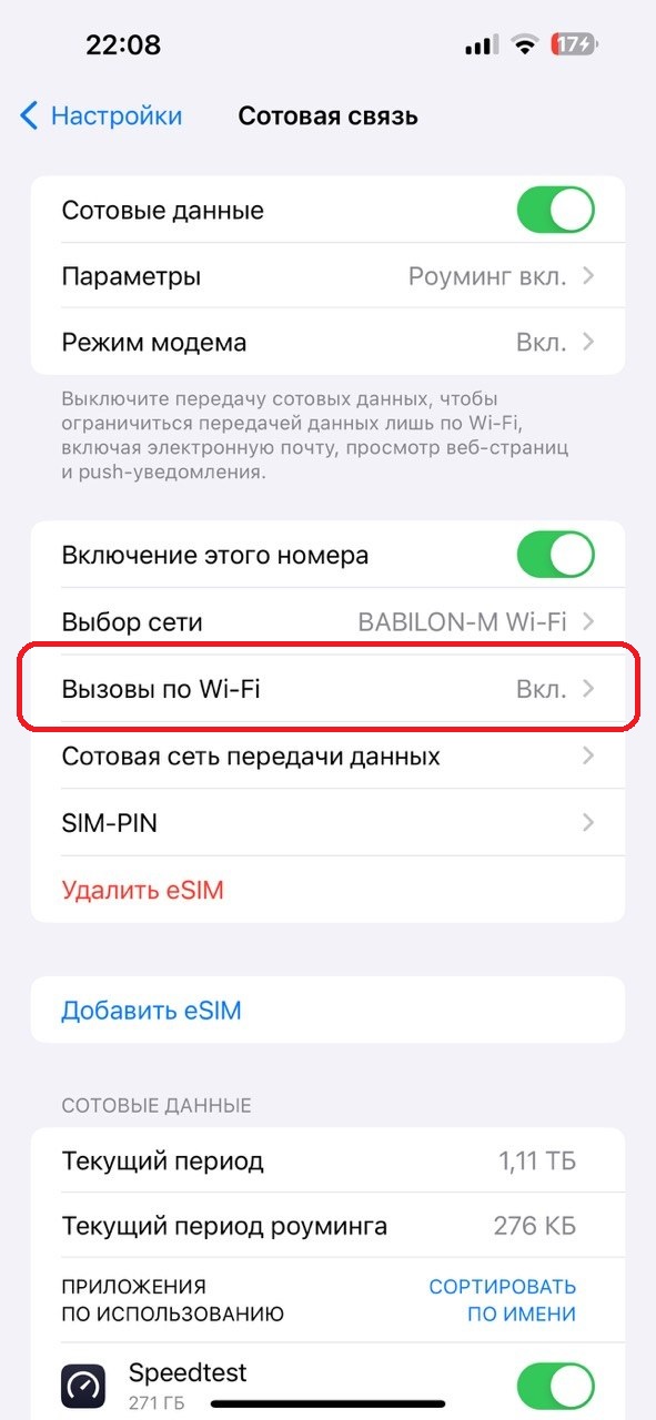 iPhone: пункт Вызовы по Wi-Fi в настройках сотовой связи